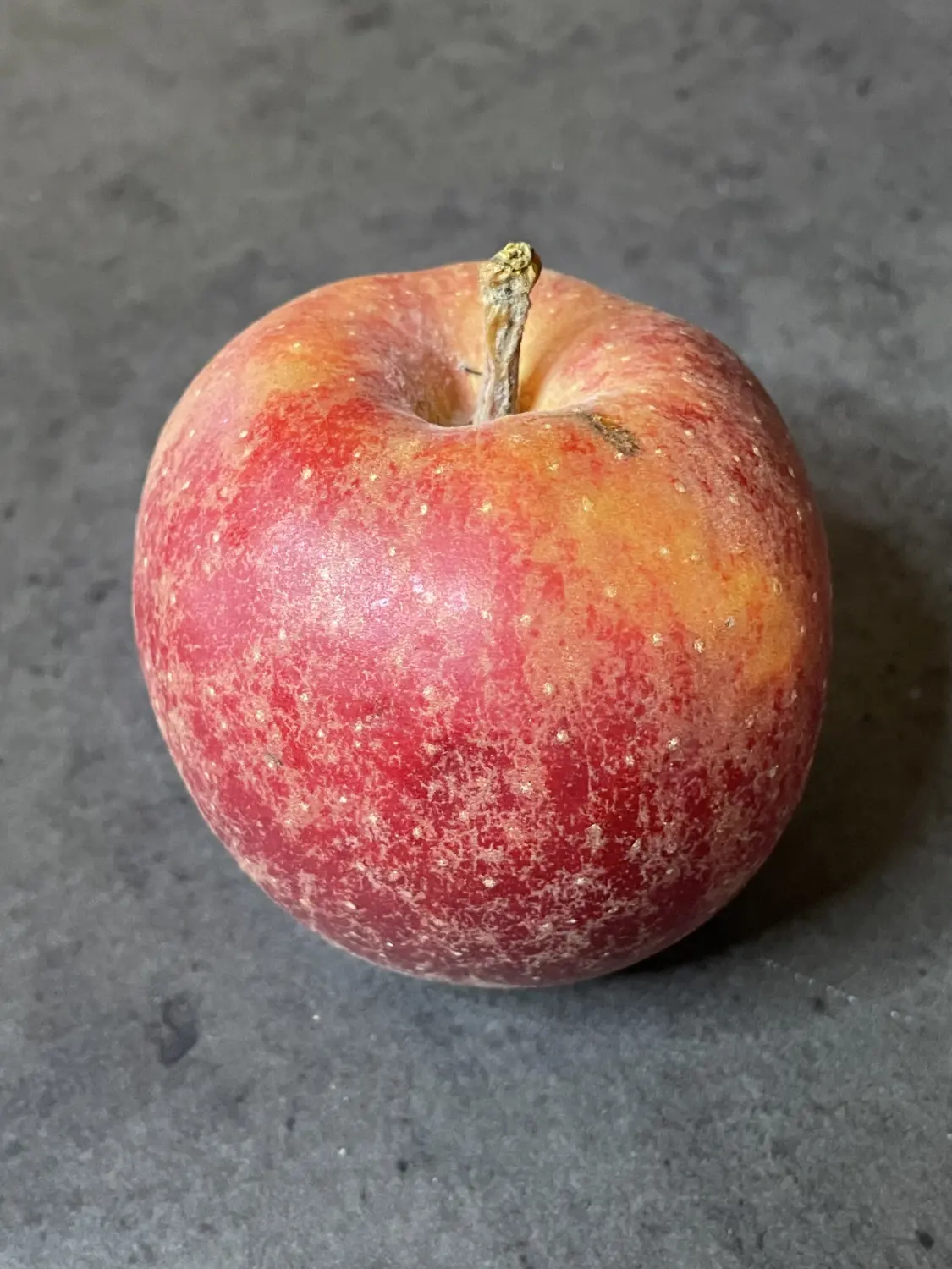 Silvia Schötz Naturheilpraxis Ernährungsberatung Apfel